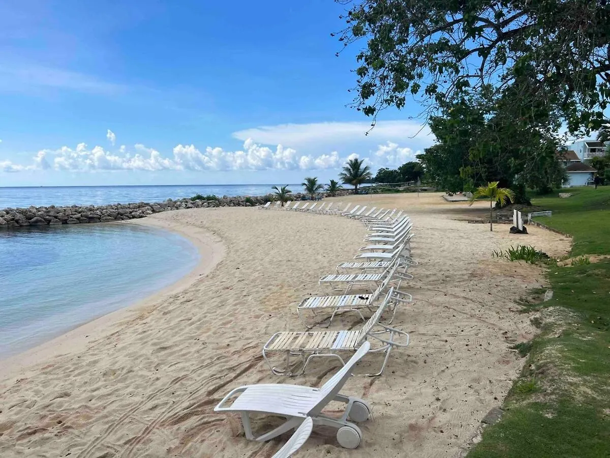 Caribbean Bliss - Oceanfront Studio With Stunning Views Negril 0*,  Jamaica