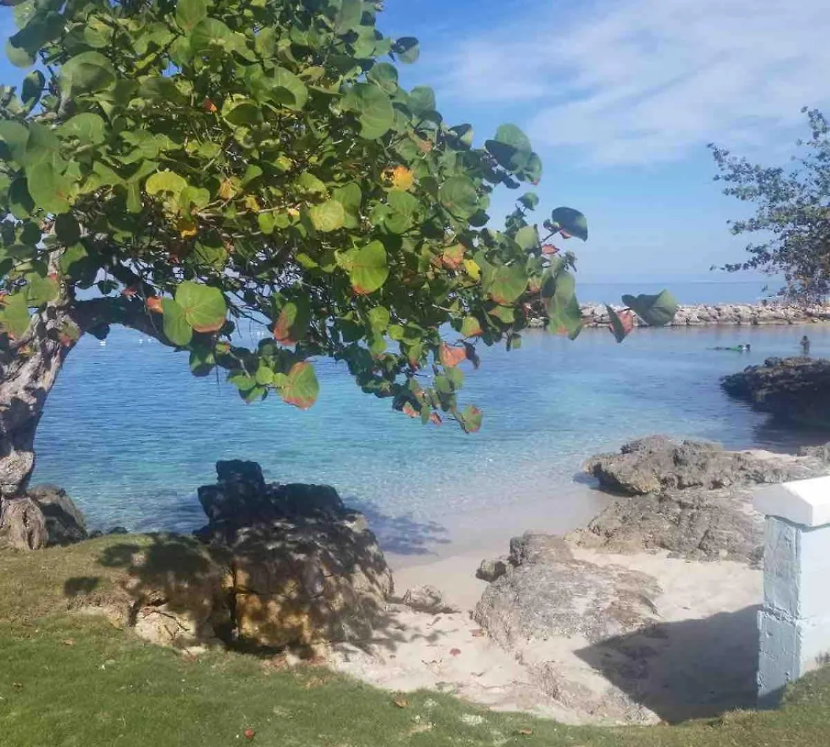 Caribbean Bliss - Oceanfront Studio With Stunning Views Negril